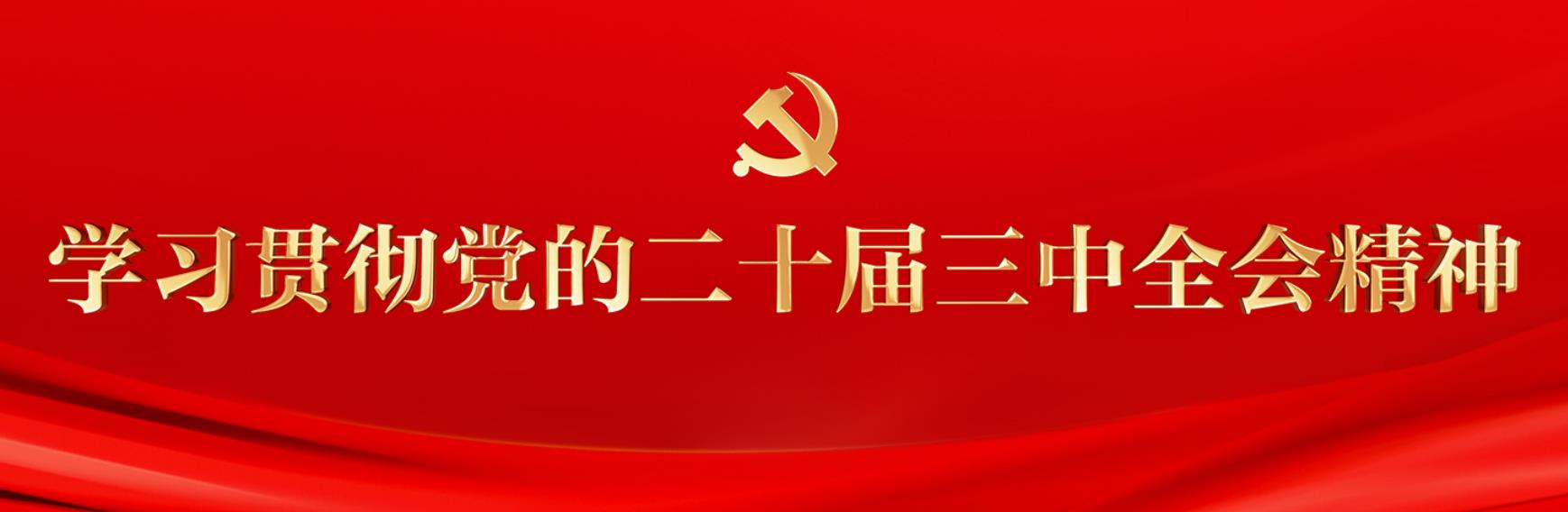 学习贯彻党的二十届三中全会精神